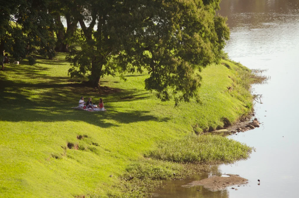 Piknik nad jeziorem